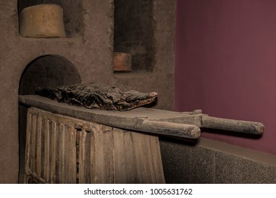 Old Mummification Crocodile 3000 B. C.
