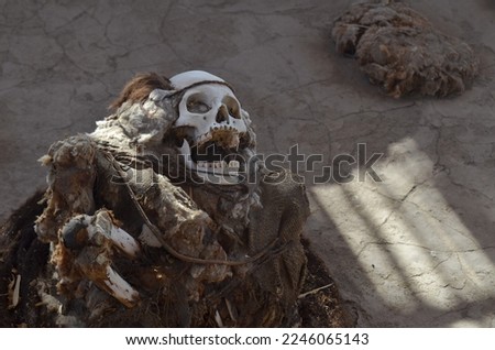 Old mummy in the grave in the Chauchilla Cemetery in Nazca, Ica, Peru Stock photo © 