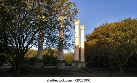 Old Museum Columns, Charleston SC