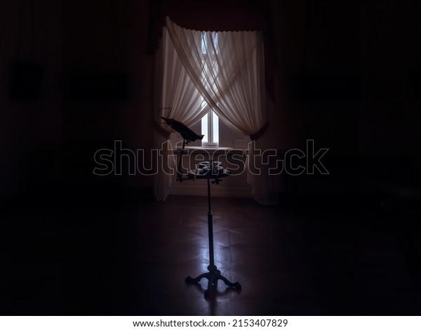 Old music room with a violin and music stand in\
the center, dark and moody atmosphere, dramatic light,  Horovice\
castle interior