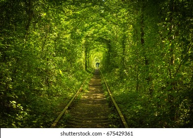 old mysterious forest and railway tunel of love