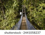 An old, narrow suspension bridge leading into a northwest rainforest area in a public park on Vancouver Island, in British Columbia, Canada.