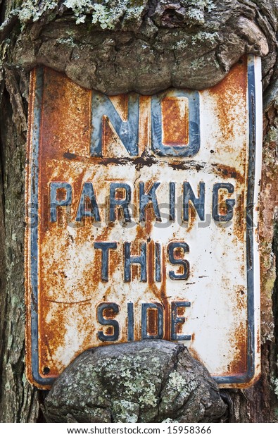 An old\
No Parking sign using a tree as the sign\
post