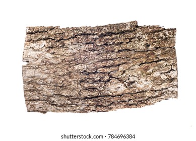 Old Oak Bark Isolated On White Background, Design Tamplate, Place For Text