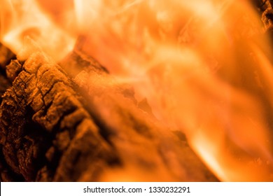 An Old Oak Branch Burns Over A Campfire. The Intense Flames Below Through The Buring Logs Turning Theoutside Of The Log To White Ash.