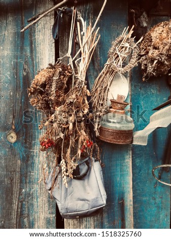 Similar – Image, Stock Photo Bunch of garlic with kitchenware on wooden background