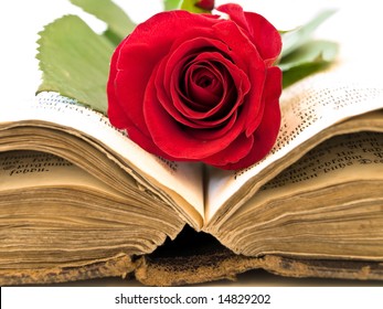 Old Open Book Red Rose Into Stock Photo 14829202 | Shutterstock