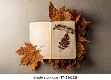 Old Opened Book, Glasses And Dry Leaves On Plain Stone Surface Table. Reading, Literature, Poetry, Library And Autumn Fall Concept Photo.