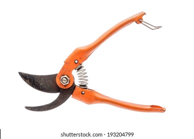 Old Orange Pruning Shears Isolated On White.