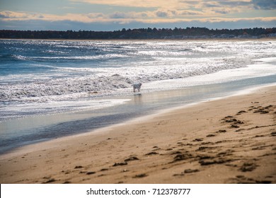 Old Orchard Beach Maine