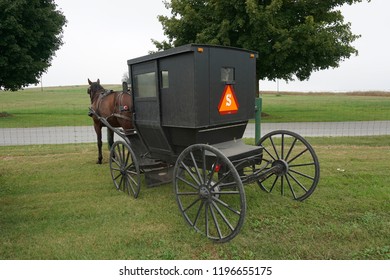 Old Order Mennonite Horse Buggy Carriage Stock Photo 1196655175 ...