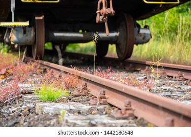 Old Orphan Train Wagon Stands On A No-longer-used Siding