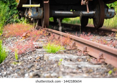 Old Orphan Train Wagon Stands On A No-longer-used Siding