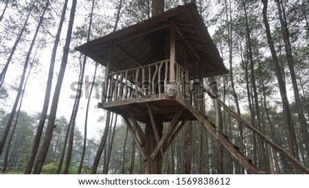 The old outpost in middle forest