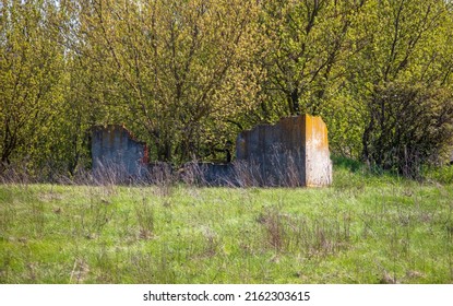 Old Overgrown House In Nature In Spring