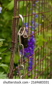 Old Padlock With A Rusty Chain Hangs On An Old Open Gate