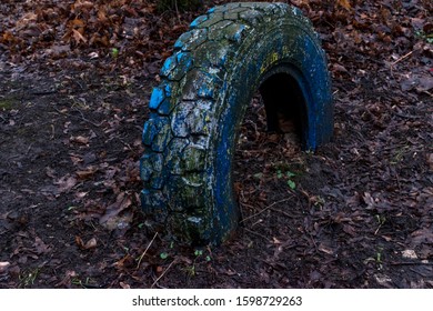 Old Painted Car Tire Half Dug Into The Ground In The Autumn Forest. Close-up.