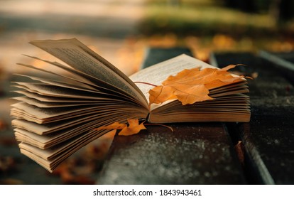 Old paper book and autumn garden with fallen yellow foliage - Powered by Shutterstock