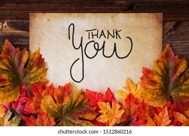 Old Paper Calligraphy Thank You Colorful Stock Photo 1512860216 ...