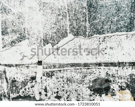 Similar – Image, Stock Photo Caputh Tree Tree trunk