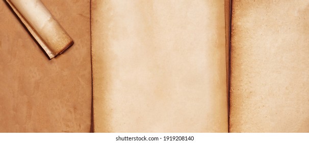 old paper texture for background                                                                                          