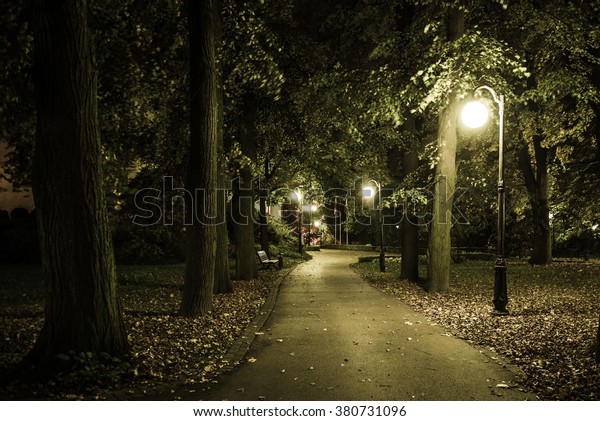 Old Park Night Scenery Early Fall Stock Photo (Edit Now) 380731096