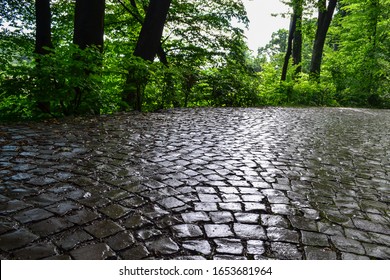 Old Pavers After Rain, Wet Stone Pavement, Background, Texture