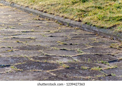 old paving slabs covered with moss and grass. stone texture. close-up. background