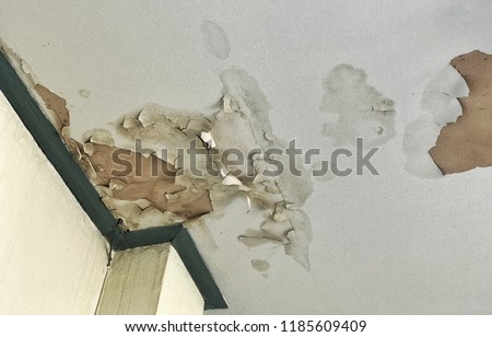 old peeling decay white gypsum board ceiling in house damage by water leaking from raindrop, moisture and dirty mold, bad living environment with disease and mildew, home renovation repairing concept
