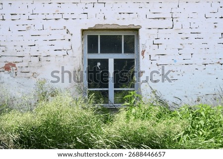 An old peeling window on a whitewashed brick wall overgrown with grass