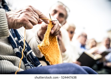 Old People Group Doing Activities In A Park