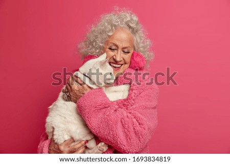 Similar – Image, Stock Photo Portrait of a cat Cat