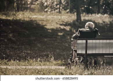 Old Person Sitting At The Park, Sadness Tone Picture