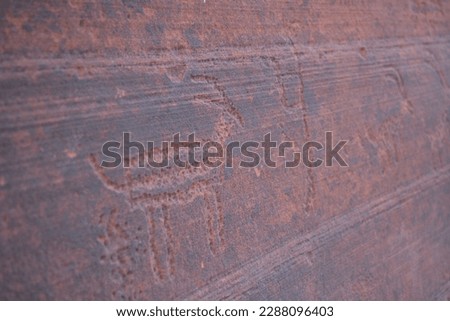 old petroglyphs of native americans at high walls of sandstone in the Buckskin Gulch slot canyon at the boarder of Utah and Arizona in United States of America, USA