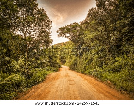 old photo of a rural road