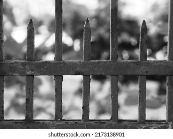 Old Picket Fence In A Park In Monochrome.