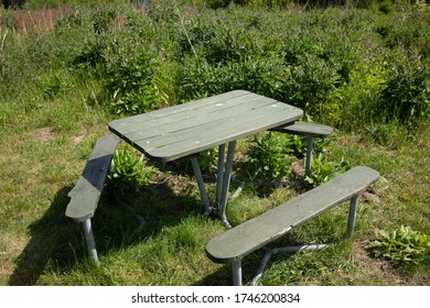 Old Picnic Bench In The Sunlight