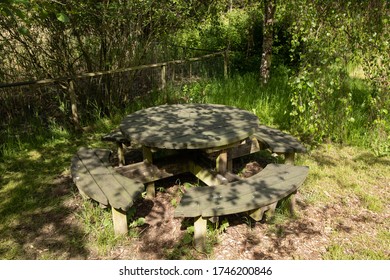 Old Picnic Bench In The Sunlight