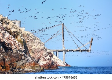 Old pier with birds in Ballestas Islands Reserve in Peru. Ballestas islands are an important sanctuary for marine fauna