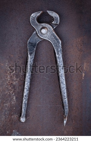 Old pincers on an iron rusty background