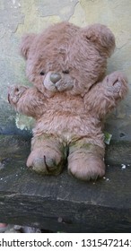 ugly teddy bear