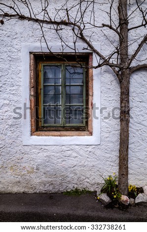 Similar – Image, Stock Photo Room with a view Plant