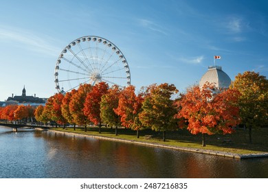 Old Port of Montreal in autumn. Red maples and old Montreal skyline reflected on St. Lawrence River. Fall foliage season in Montreal, Quebec, Canada. La Grande roue de Montreal Ferris wheel. - Powered by Shutterstock