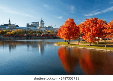 Old Port of Montreal in autumn. Red maples and old Montreal buildings skyline reflected on St. Lawrence River. Fall foliage season in Montreal, Quebec, Canada. - Powered by Shutterstock