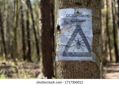 An Old Poster In The Woods Warning Of Ticks. Translation: 