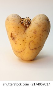The old potato wrinkled and sprouting, in shape of a heart.