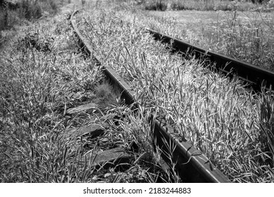 Old Railroad Tracks Overgrown With Grass. Railroad Black And White Photography