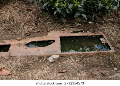 An old, rectangular stone water trough or basin, partially filled with water and surrounded by dry leaves and foliage, set within a natural, slightly overgrown environment