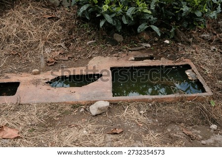 An old, rectangular stone water trough or basin, partially filled with water and surrounded by dry leaves and foliage, set within a natural, slightly overgrown environment