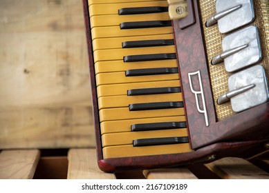 Old red accordion. Wind musical instrument. Old concertina. Musical orchestra instrument. Equipment that reproduces musical sounds.